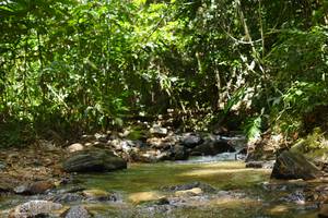 BIB: 
                            <button type="button" onclick="openModal(21851042)" class="btn btn-primary btn-sm float-right btn-popup" data-toggle="modal" data-target=".modal-high-quality">
                        <i class="fas fa-shopping-cart"></i> Add to Cart
                    </button>
                                            <button type="button" onclick="isThisMe(21851042, true)" class="btn btn-success btn-sm float-right btn-popup btn-isme hidden" data-toggle="tooltip" data-placement="bottom" title="นี่คือรูปของคุณใช่ไหม คลิกที่นี่เพื่อเอาเข้าอัลบั้ม">
                        <i class="fas fa-plus"></i> Add to album
                    </button>
                    <button type="button" onclick="isThisMe(21851042, false)" class="btn btn-warning btn-sm float-right btn-popup btn-isnotme hidden">
                        <i class="fas fa-ban"></i> Remove from album
                    </button>